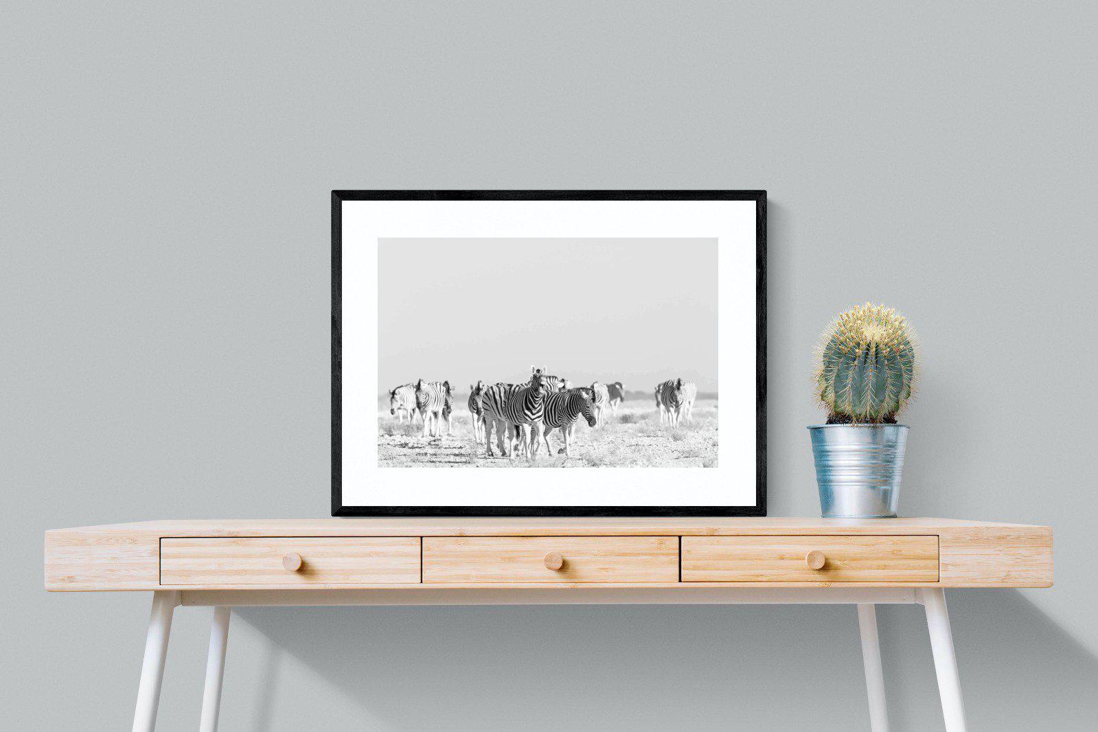 Zebra Herd-Wall_Art-80 x 60cm-Framed Print-Black-Pixalot