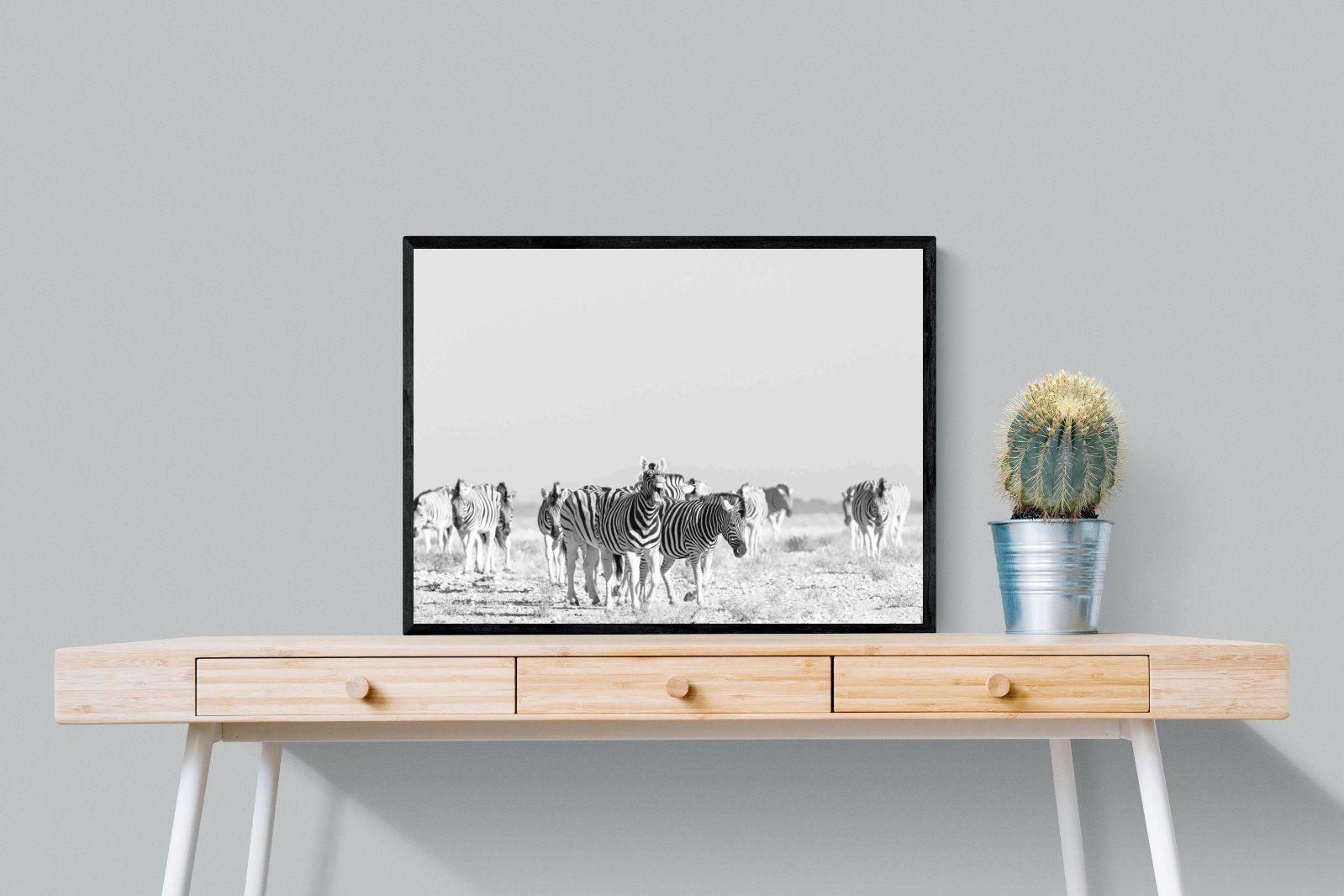 Zebra Herd-Wall_Art-80 x 60cm-Mounted Canvas-Black-Pixalot