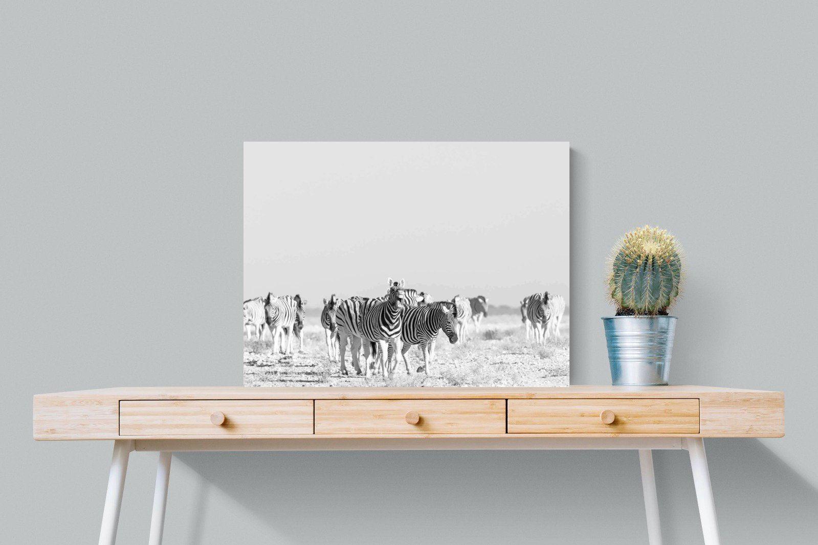 Zebra Herd-Wall_Art-80 x 60cm-Mounted Canvas-No Frame-Pixalot