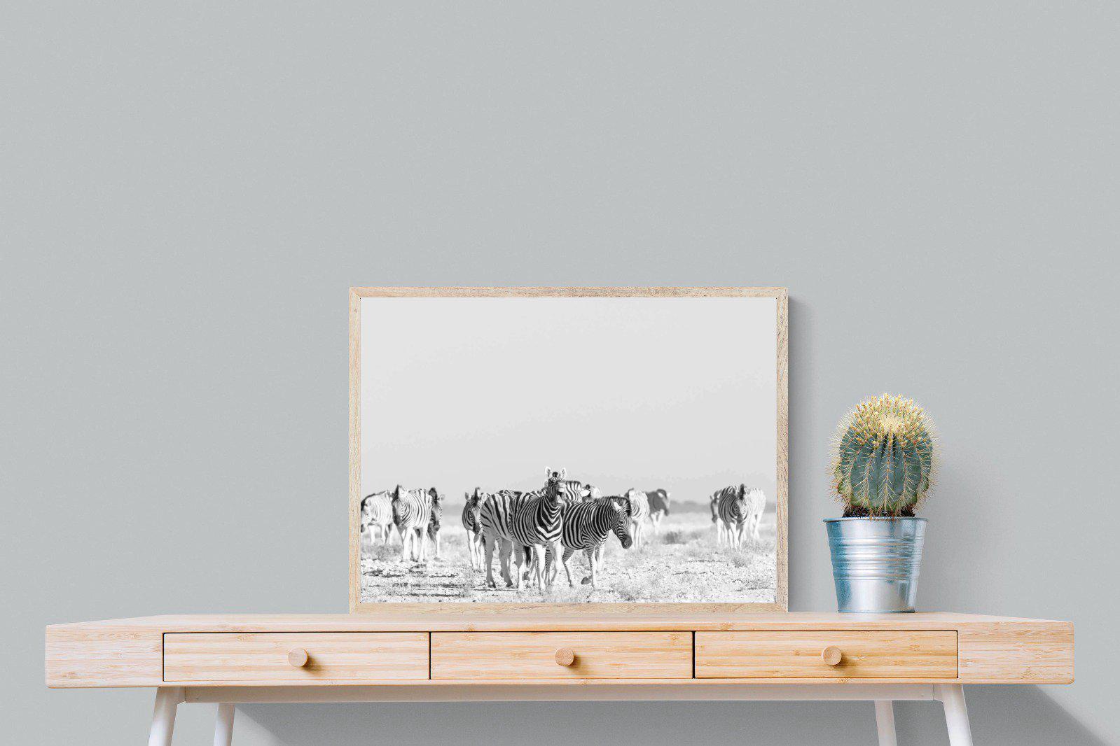 Zebra Herd-Wall_Art-80 x 60cm-Mounted Canvas-Wood-Pixalot