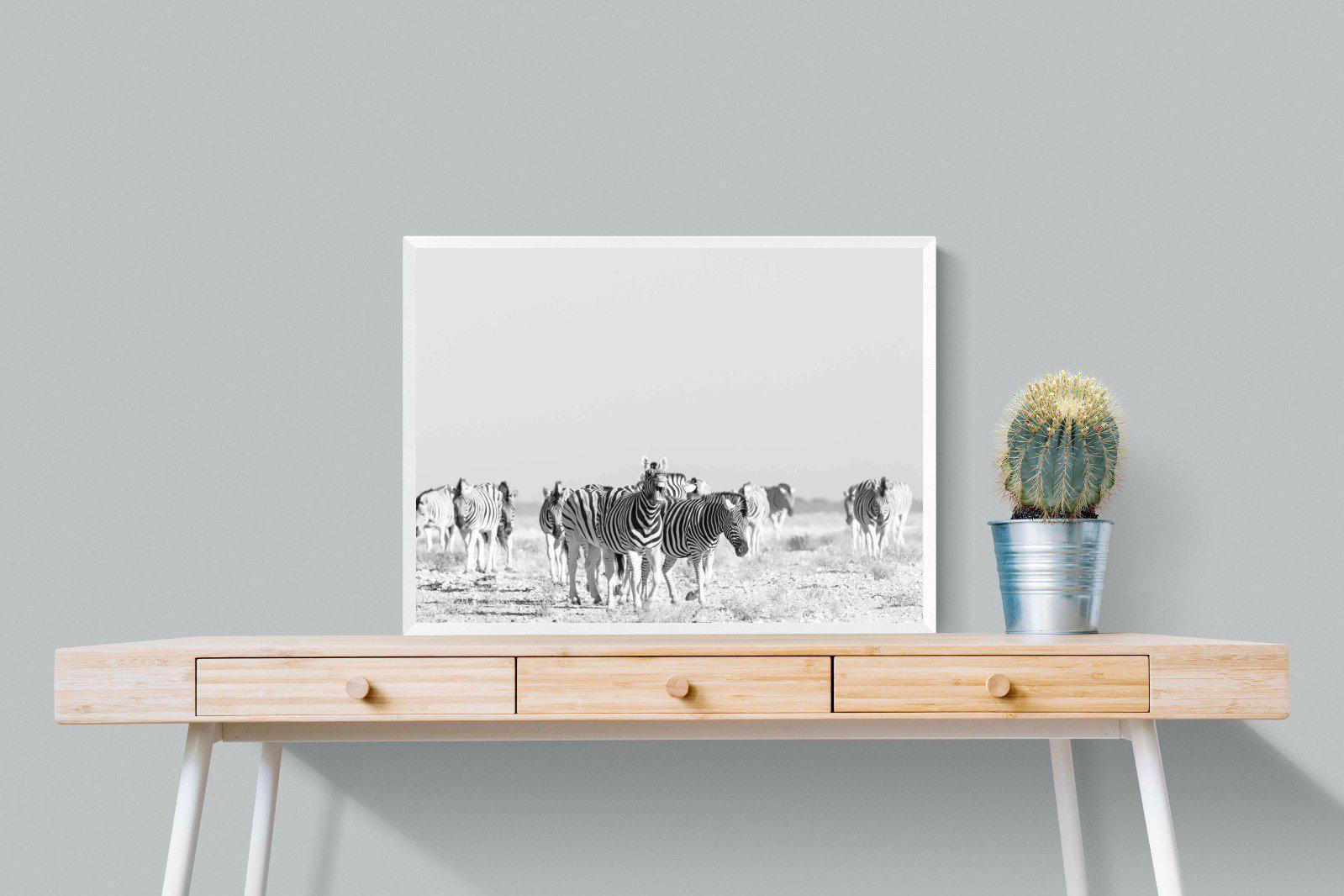 Zebra Herd-Wall_Art-80 x 60cm-Mounted Canvas-White-Pixalot