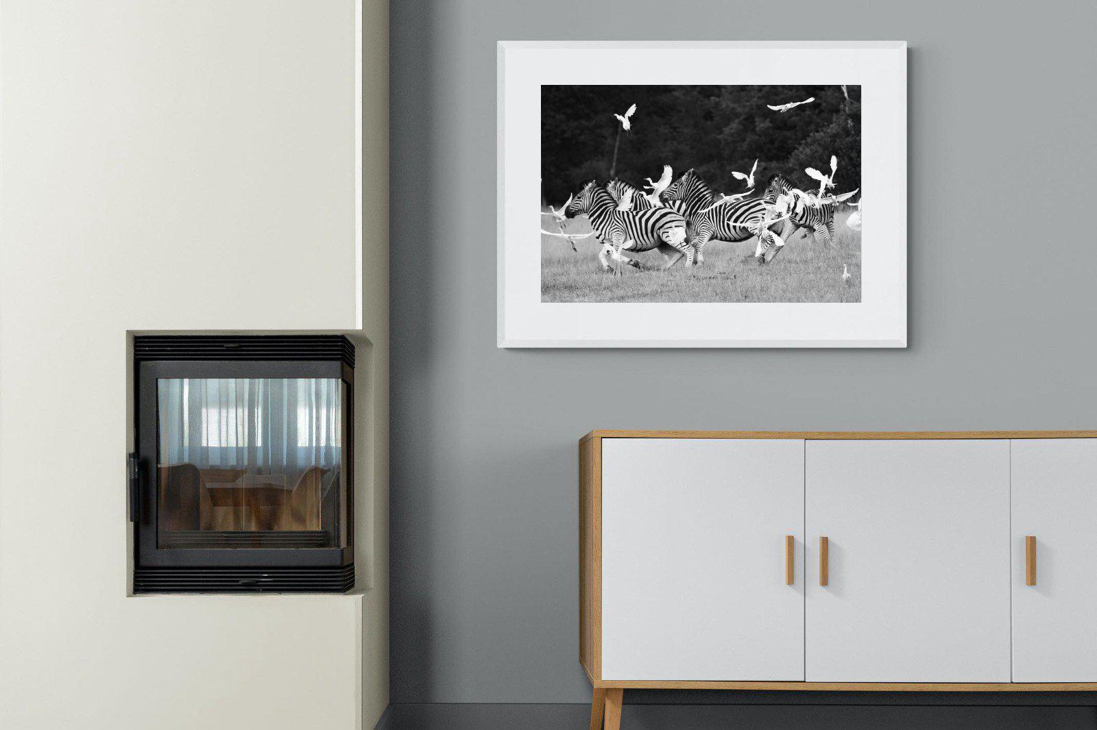 Zebra & Herons-Wall_Art-100 x 75cm-Framed Print-White-Pixalot