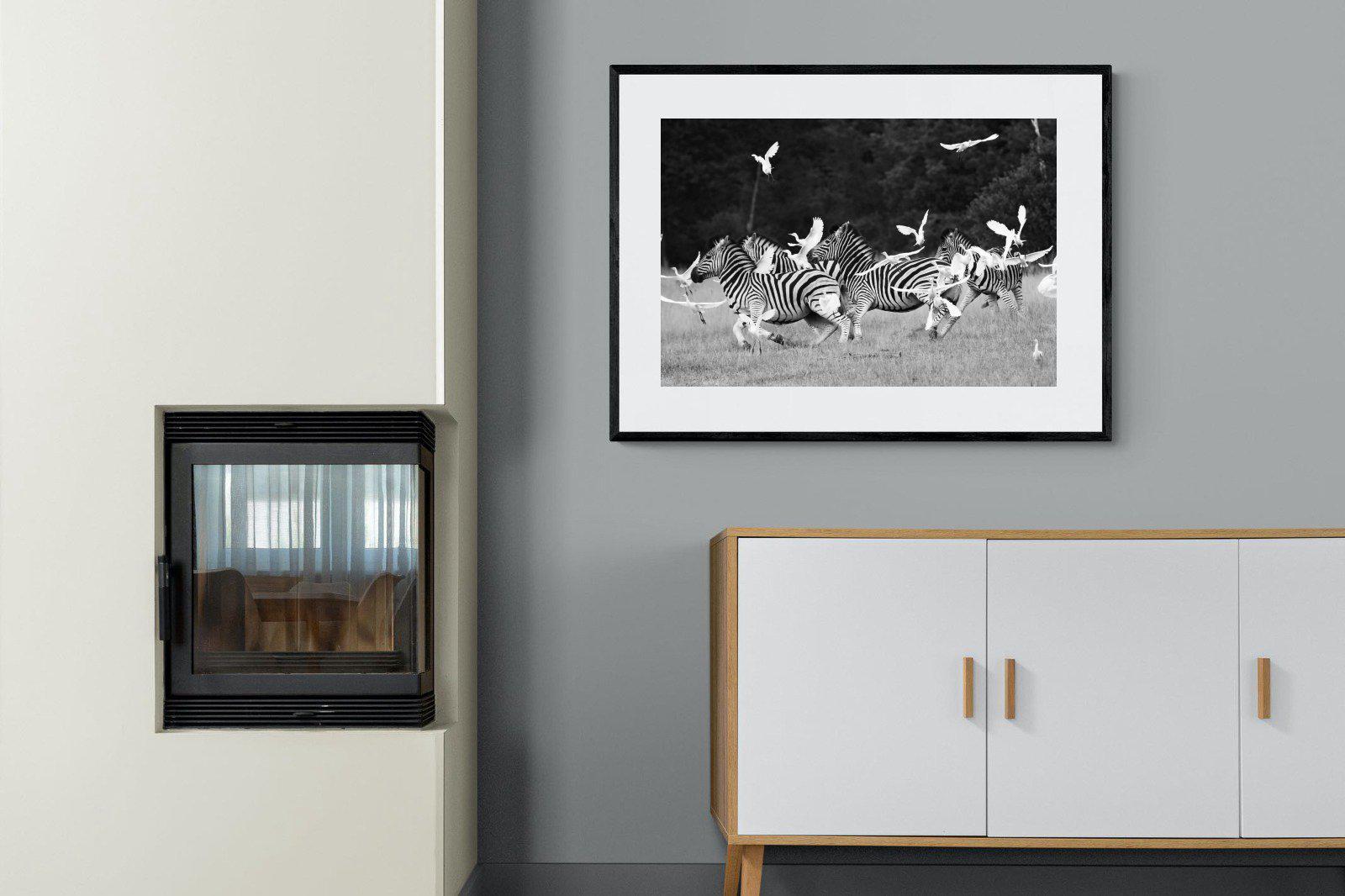 Zebra & Herons-Wall_Art-100 x 75cm-Framed Print-Black-Pixalot