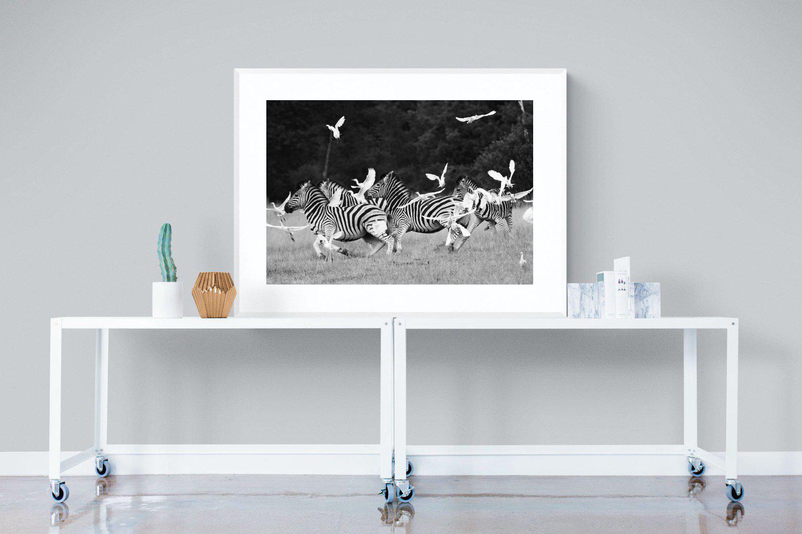 Zebra & Herons-Wall_Art-120 x 90cm-Framed Print-White-Pixalot