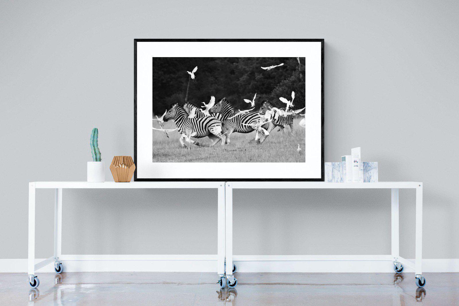 Zebra & Herons-Wall_Art-120 x 90cm-Framed Print-Black-Pixalot