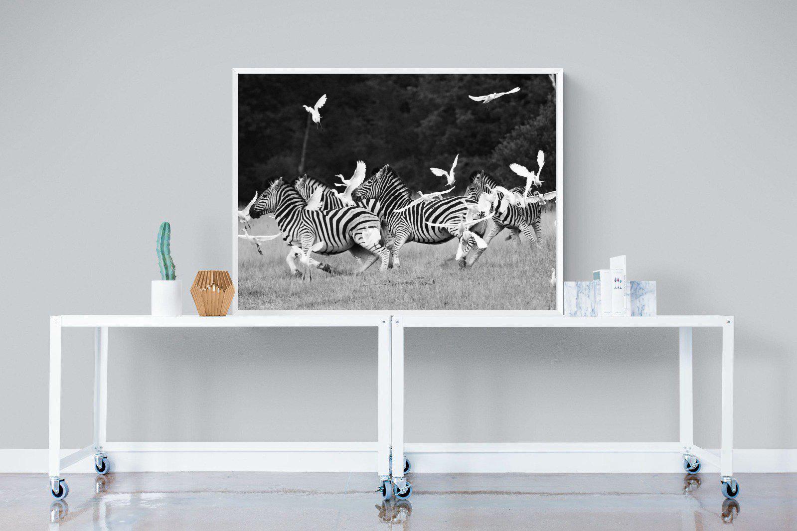 Zebra & Herons-Wall_Art-120 x 90cm-Mounted Canvas-White-Pixalot