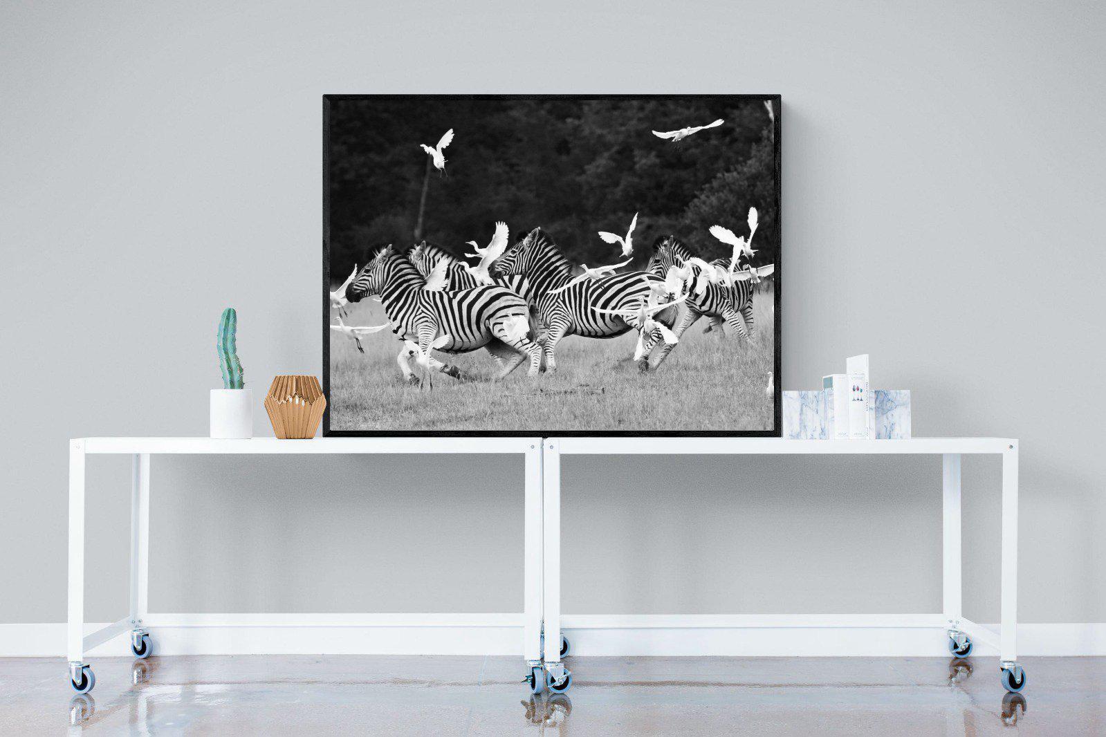Zebra & Herons-Wall_Art-120 x 90cm-Mounted Canvas-Black-Pixalot