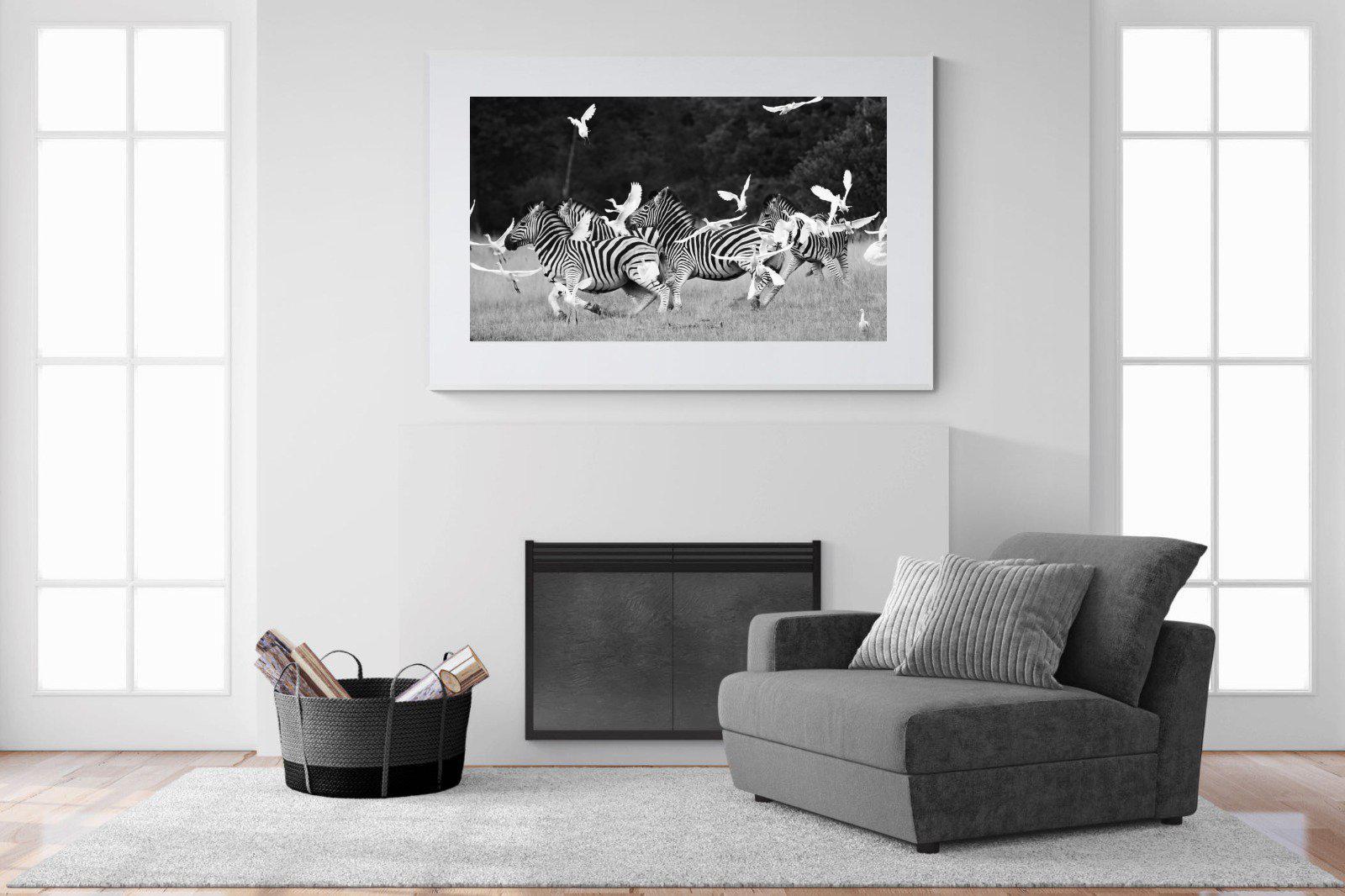 Zebra & Herons-Wall_Art-150 x 100cm-Framed Print-White-Pixalot