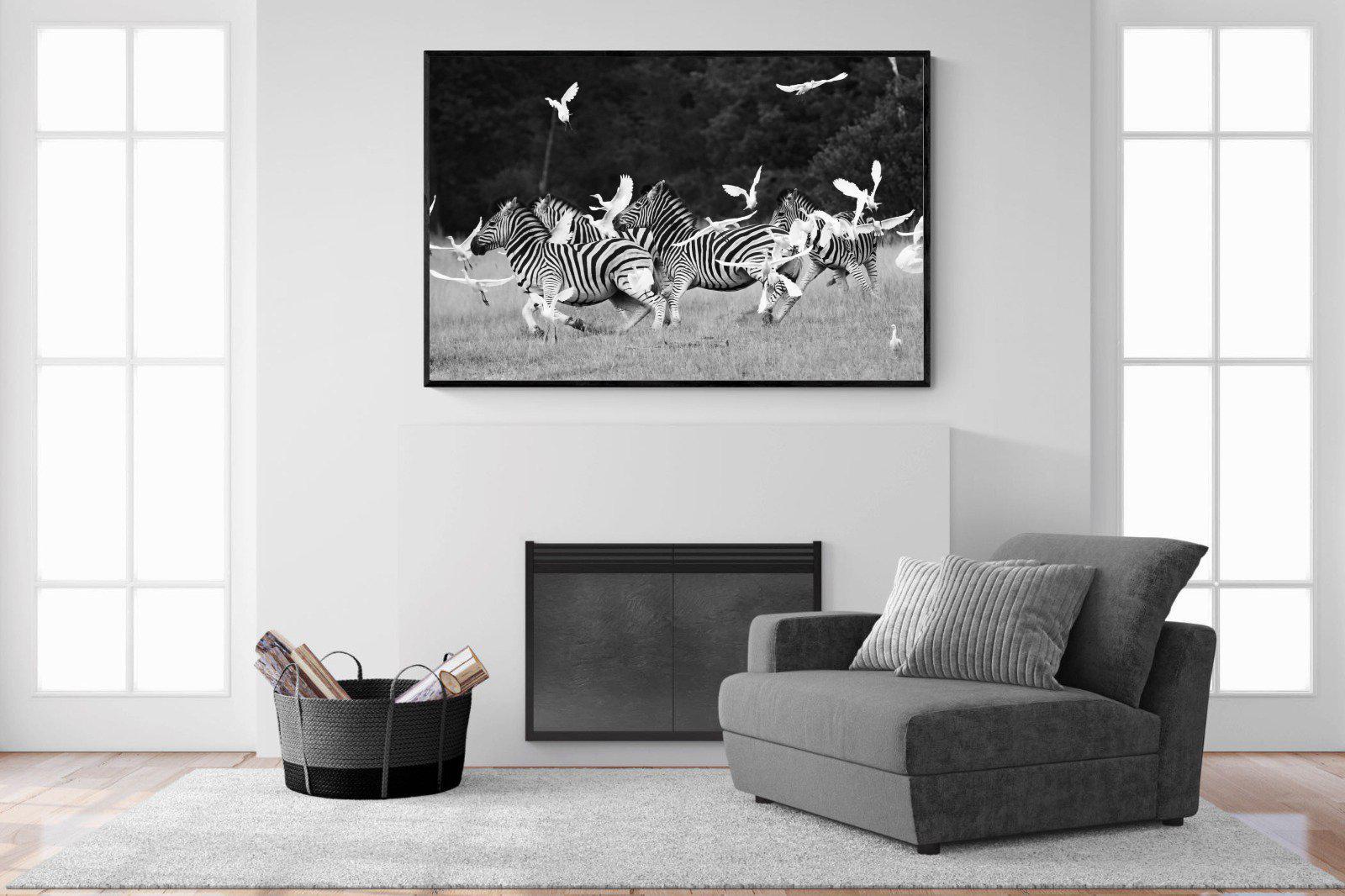 Zebra & Herons-Wall_Art-150 x 100cm-Mounted Canvas-Black-Pixalot