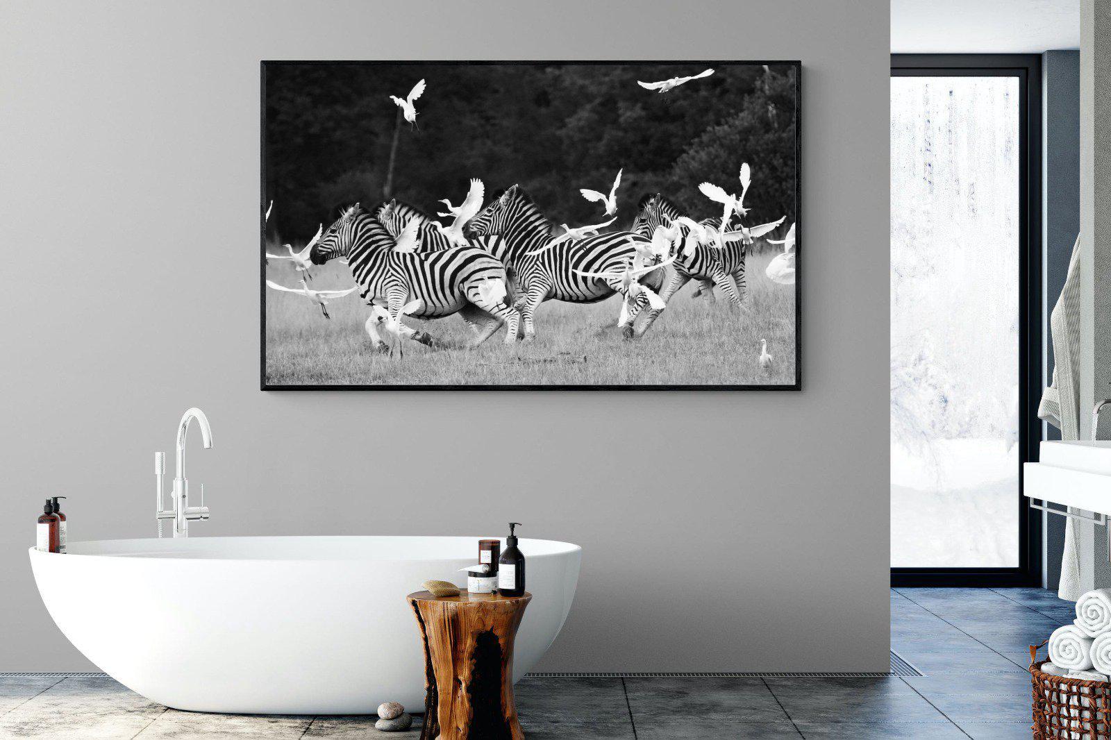 Zebra & Herons-Wall_Art-180 x 110cm-Mounted Canvas-Black-Pixalot