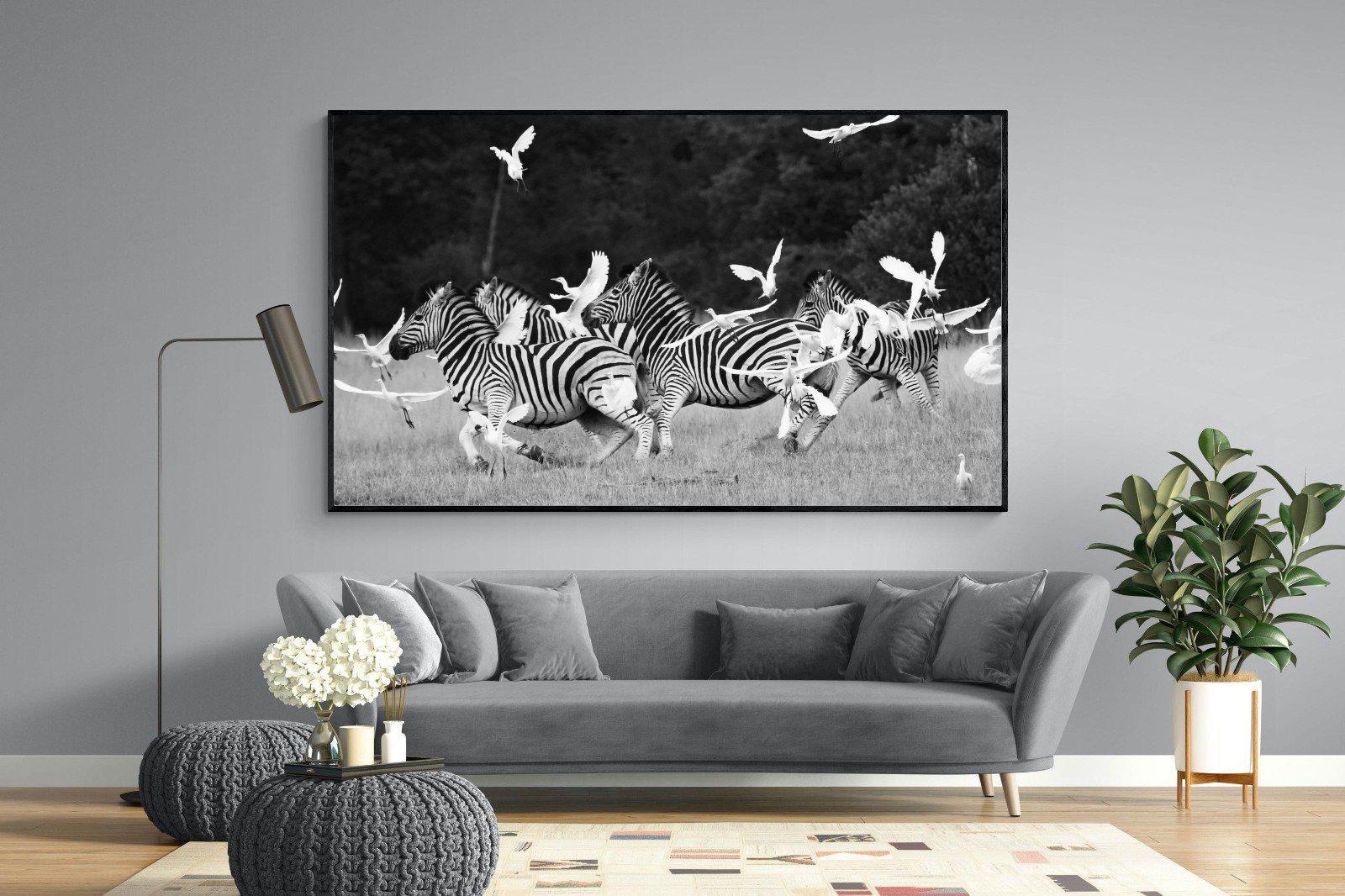 Zebra & Herons-Wall_Art-220 x 130cm-Mounted Canvas-Black-Pixalot