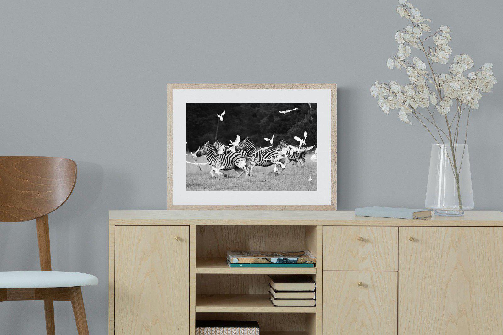 Zebra & Herons-Wall_Art-60 x 45cm-Framed Print-Wood-Pixalot