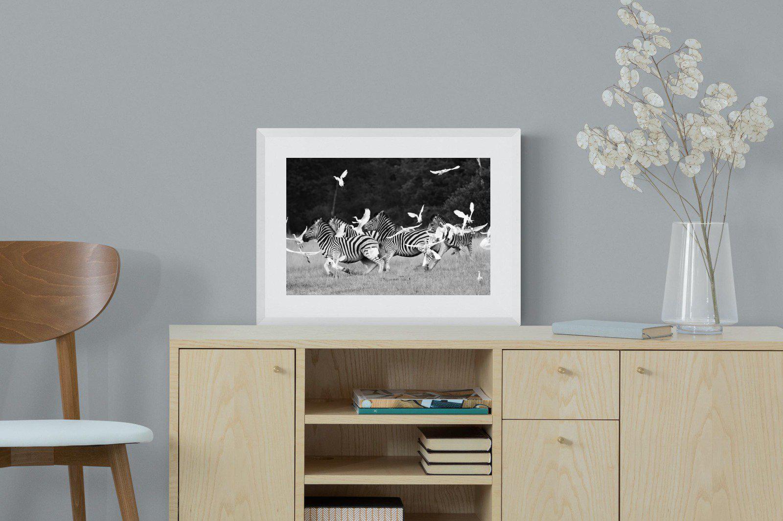 Zebra & Herons-Wall_Art-60 x 45cm-Framed Print-White-Pixalot