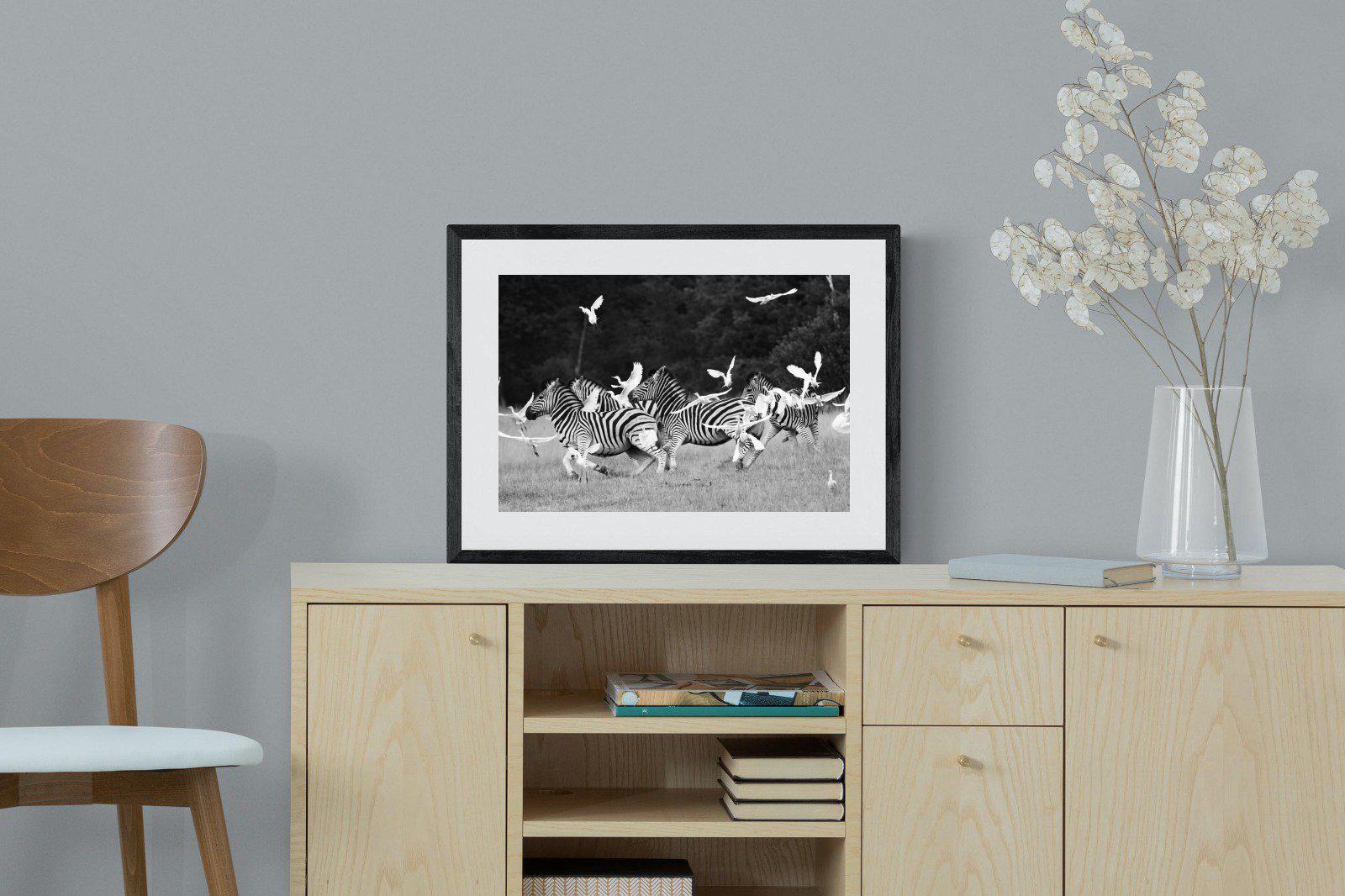 Zebra & Herons-Wall_Art-60 x 45cm-Framed Print-Black-Pixalot