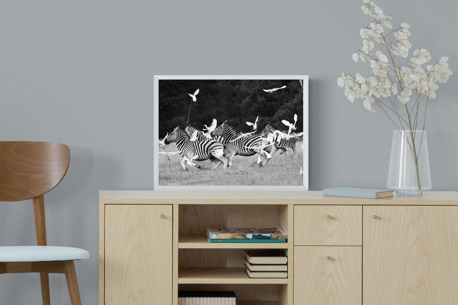 Zebra & Herons-Wall_Art-60 x 45cm-Mounted Canvas-White-Pixalot