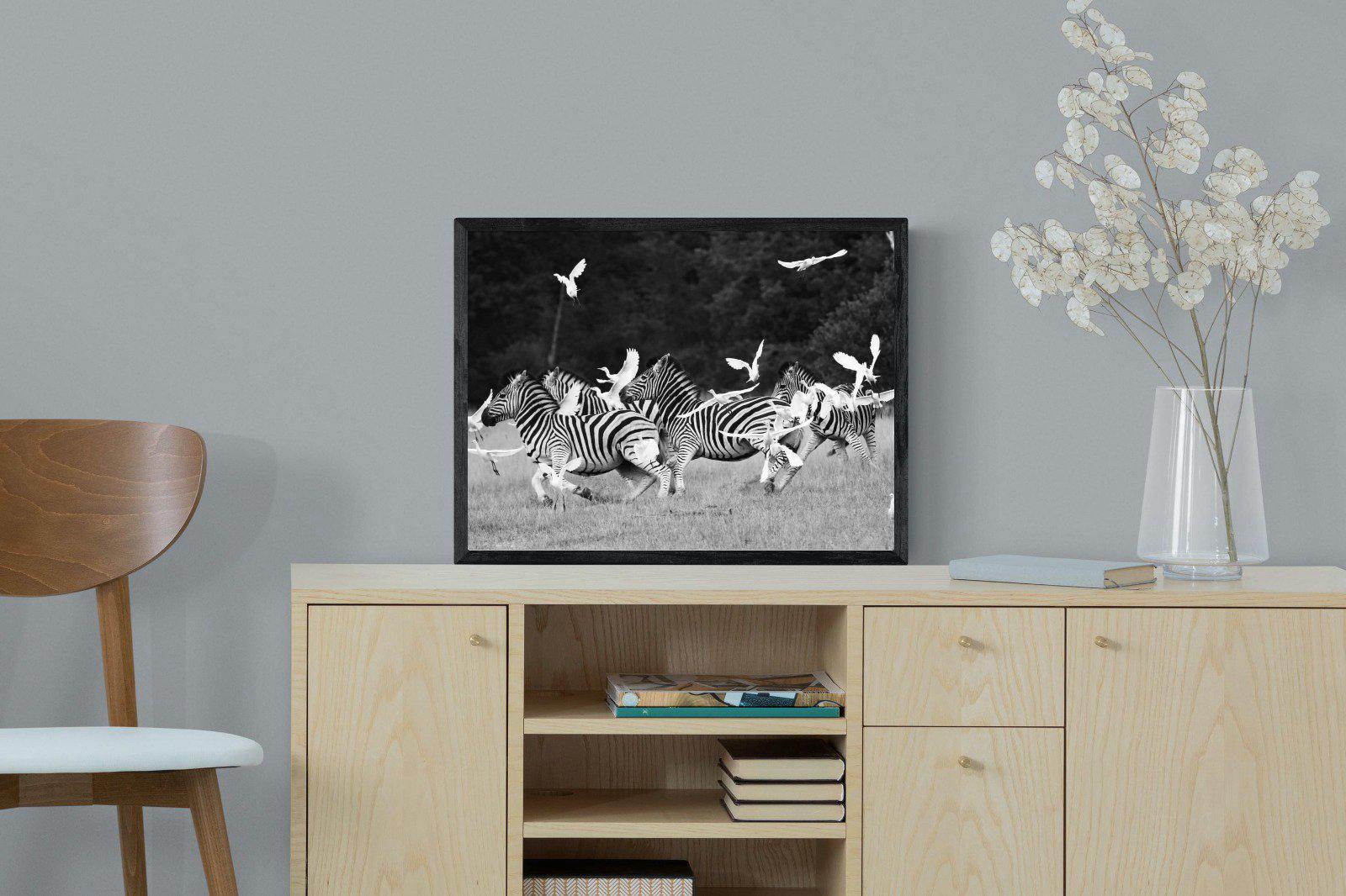 Zebra & Herons-Wall_Art-60 x 45cm-Mounted Canvas-Black-Pixalot