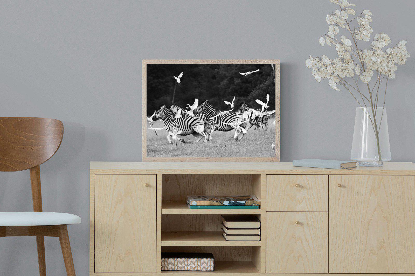 Zebra & Herons-Wall_Art-60 x 45cm-Mounted Canvas-Wood-Pixalot