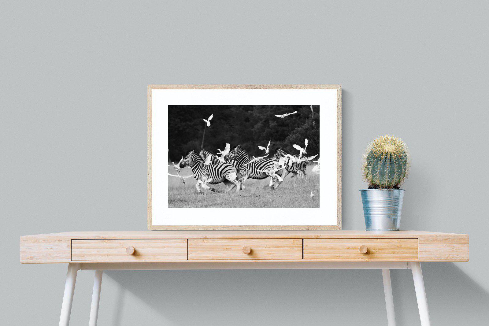 Zebra & Herons-Wall_Art-80 x 60cm-Framed Print-Wood-Pixalot