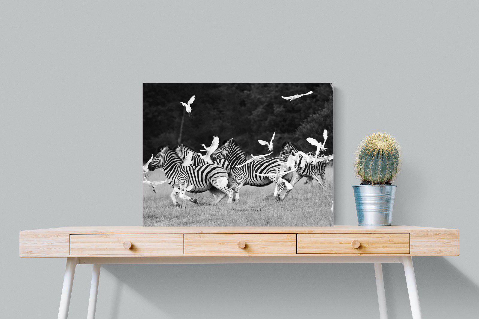 Zebra & Herons-Wall_Art-80 x 60cm-Mounted Canvas-No Frame-Pixalot