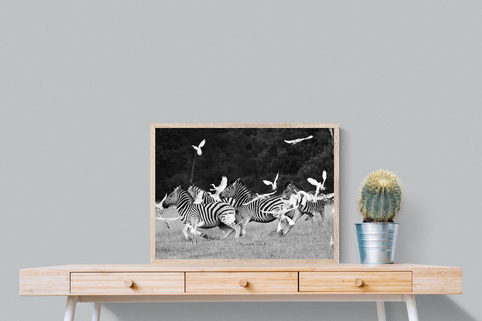 Zebra & Herons-Wall_Art-80 x 60cm-Mounted Canvas-Wood-Pixalot