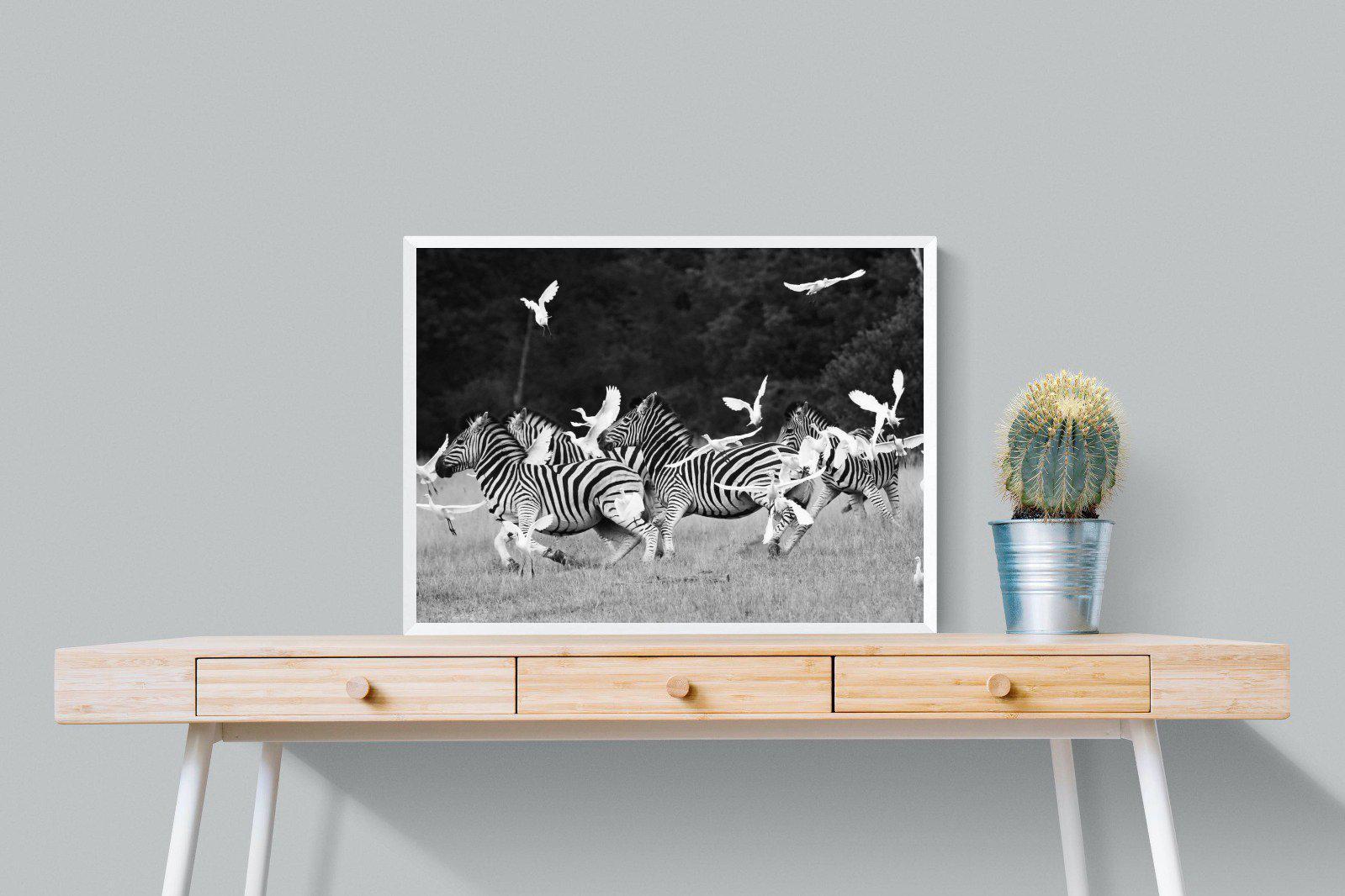 Zebra & Herons-Wall_Art-80 x 60cm-Mounted Canvas-White-Pixalot