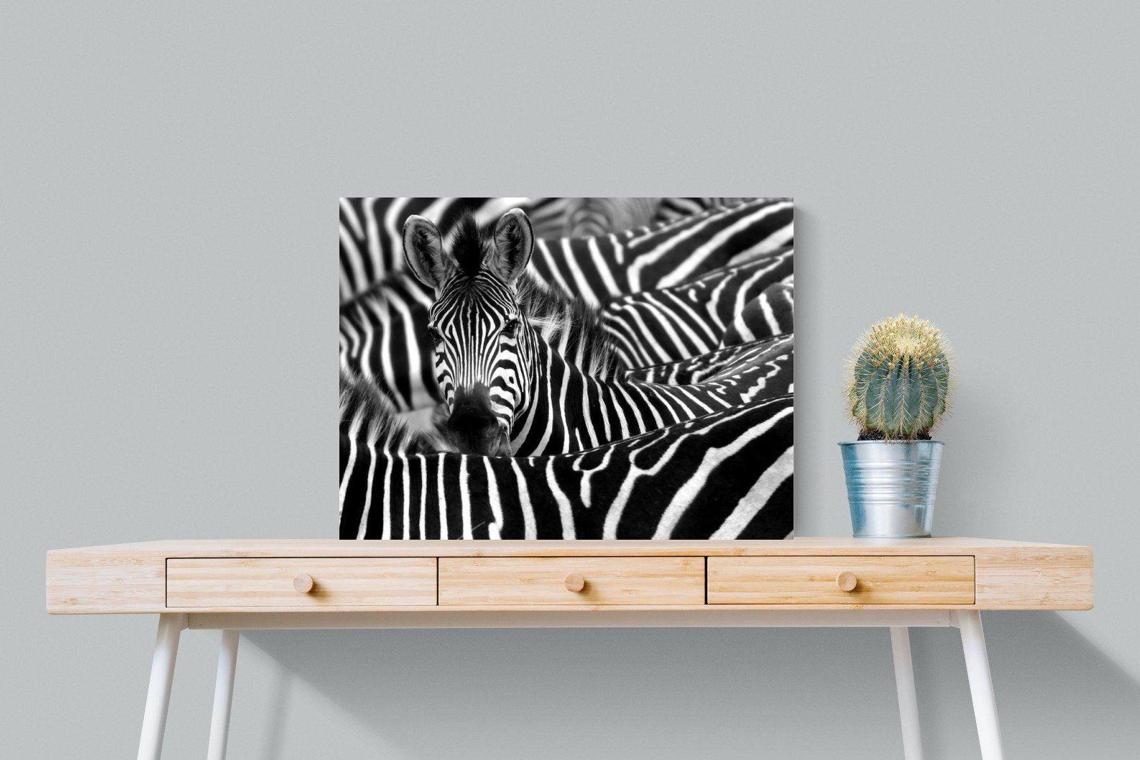 Zebra Look-Wall_Art-80 x 60cm-Mounted Canvas-No Frame-Pixalot