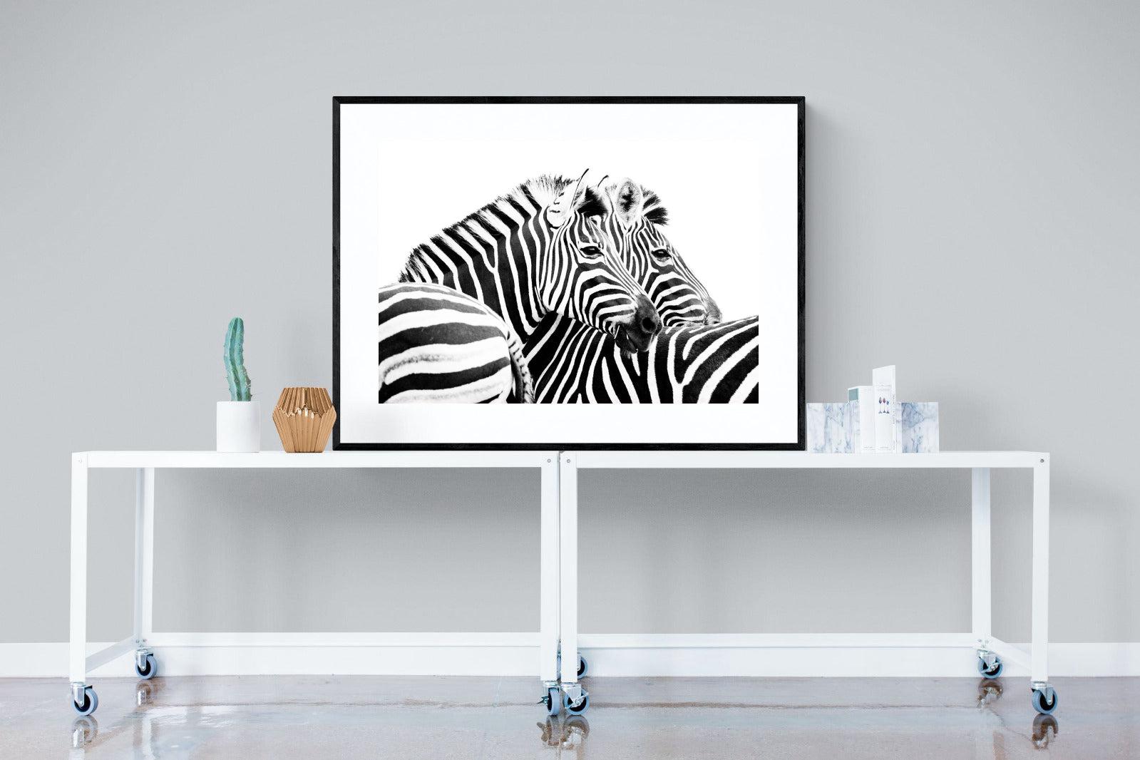 Zebra Pair-Wall_Art-120 x 90cm-Framed Print-Black-Pixalot