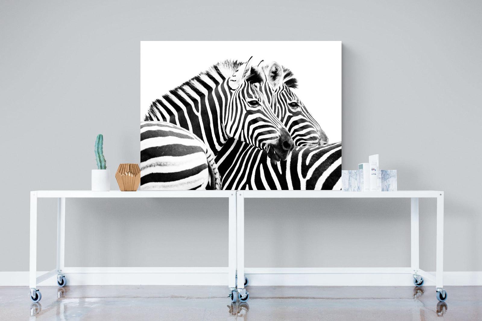 Zebra Pair-Wall_Art-120 x 90cm-Mounted Canvas-No Frame-Pixalot