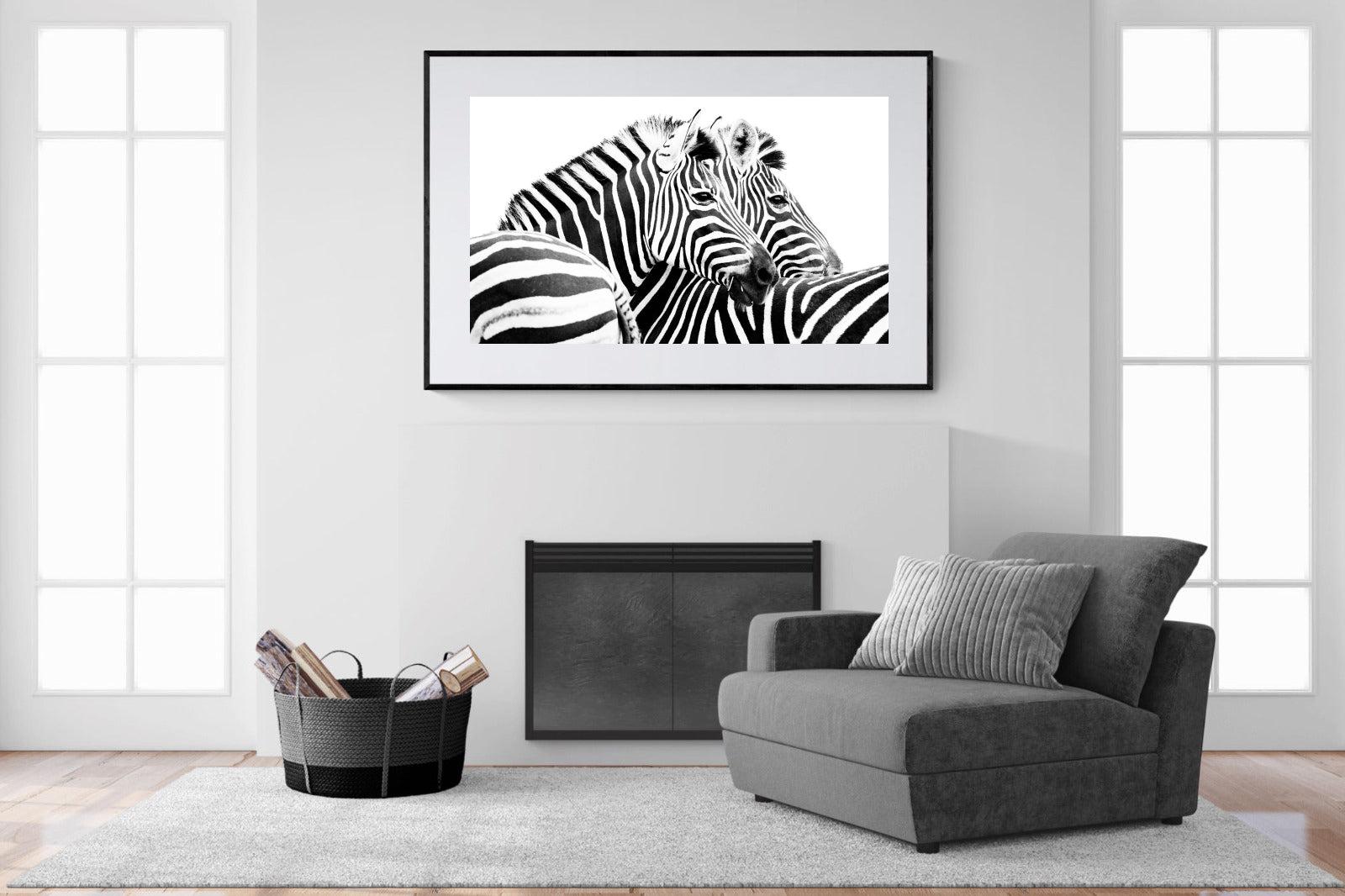 Zebra Pair-Wall_Art-150 x 100cm-Framed Print-Black-Pixalot