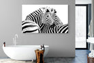 Zebra Pair-Wall_Art-180 x 110cm-Mounted Canvas-No Frame-Pixalot