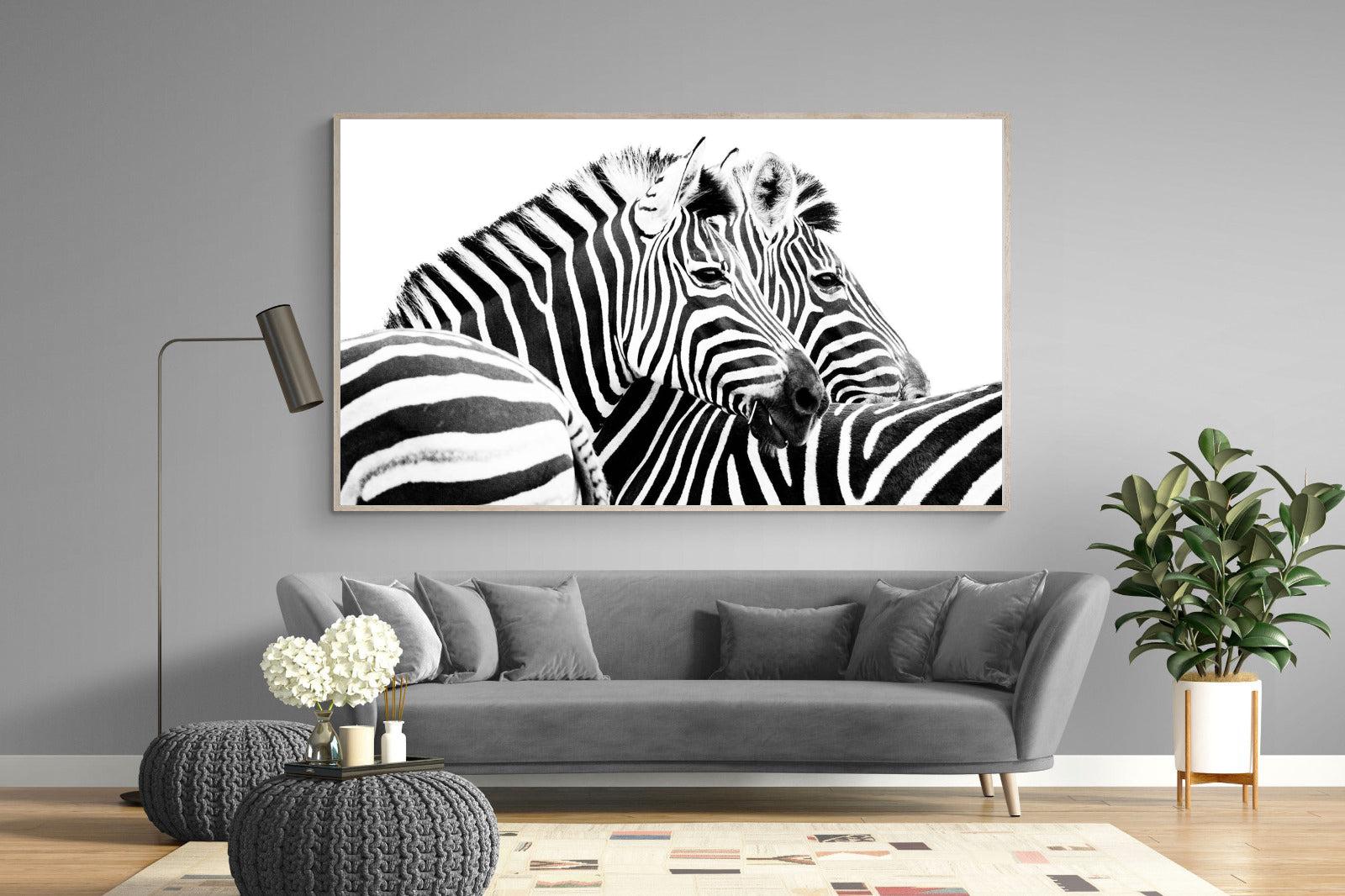 Zebra Pair-Wall_Art-220 x 130cm-Mounted Canvas-Wood-Pixalot