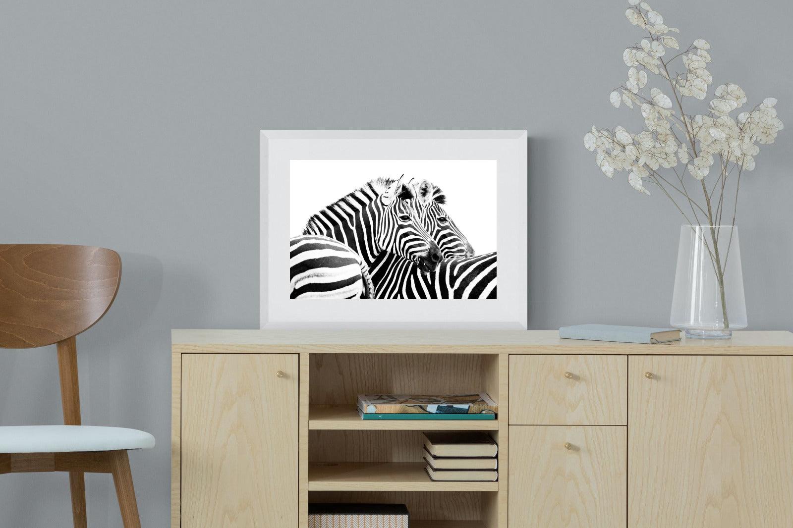 Zebra Pair-Wall_Art-60 x 45cm-Framed Print-White-Pixalot
