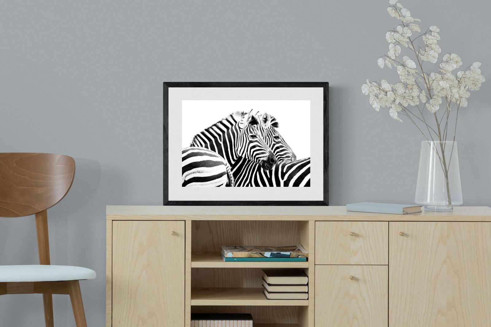 Zebra Pair-Wall_Art-60 x 45cm-Framed Print-Black-Pixalot