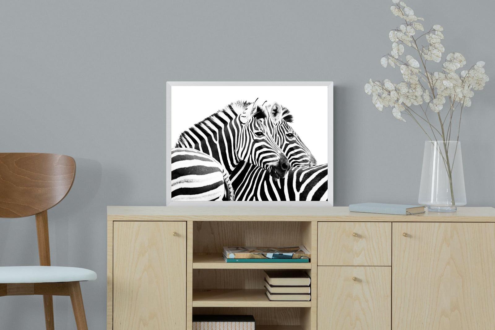 Zebra Pair-Wall_Art-60 x 45cm-Mounted Canvas-White-Pixalot