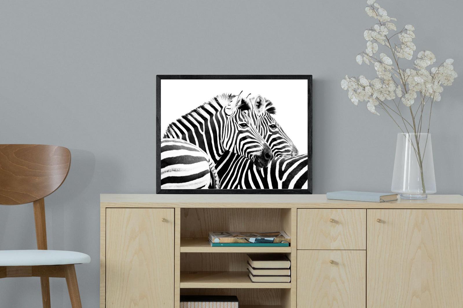 Zebra Pair-Wall_Art-60 x 45cm-Mounted Canvas-Black-Pixalot