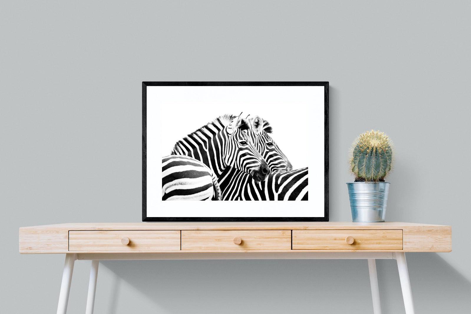 Zebra Pair-Wall_Art-80 x 60cm-Framed Print-Black-Pixalot
