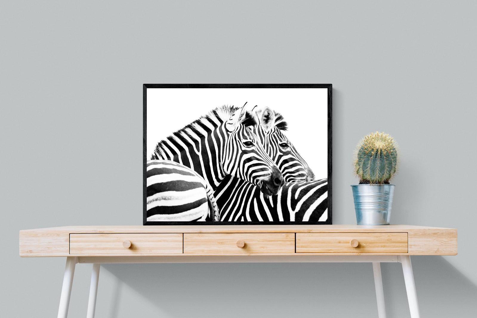 Zebra Pair-Wall_Art-80 x 60cm-Mounted Canvas-Black-Pixalot