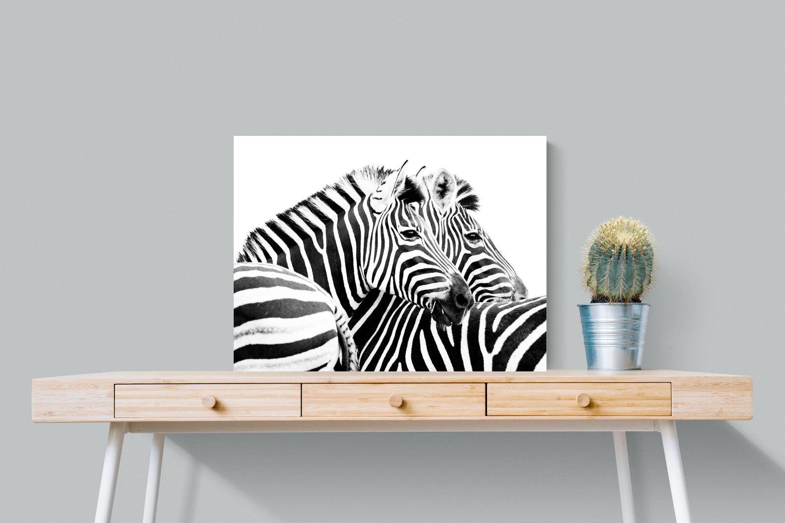Zebra Pair-Wall_Art-80 x 60cm-Mounted Canvas-No Frame-Pixalot