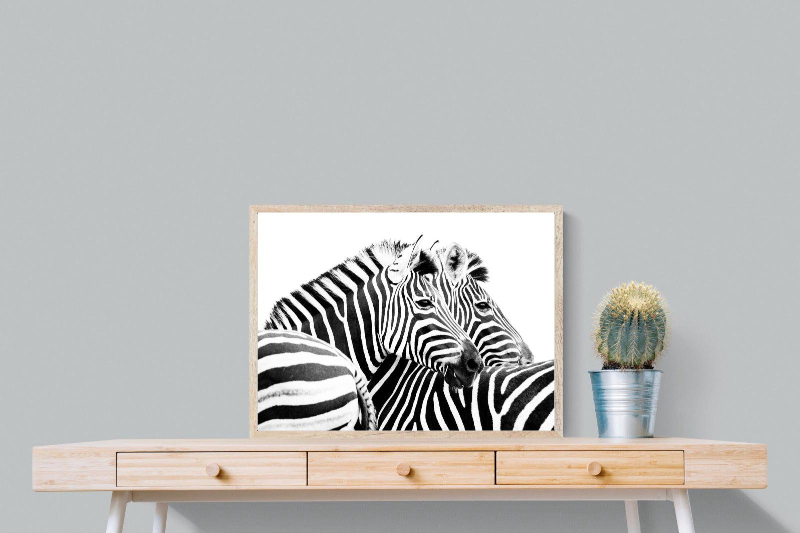 Zebra Pair-Wall_Art-80 x 60cm-Mounted Canvas-Wood-Pixalot