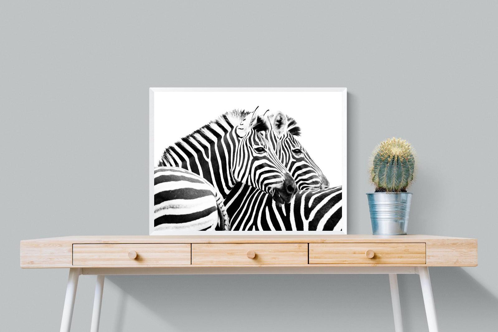 Zebra Pair-Wall_Art-80 x 60cm-Mounted Canvas-White-Pixalot