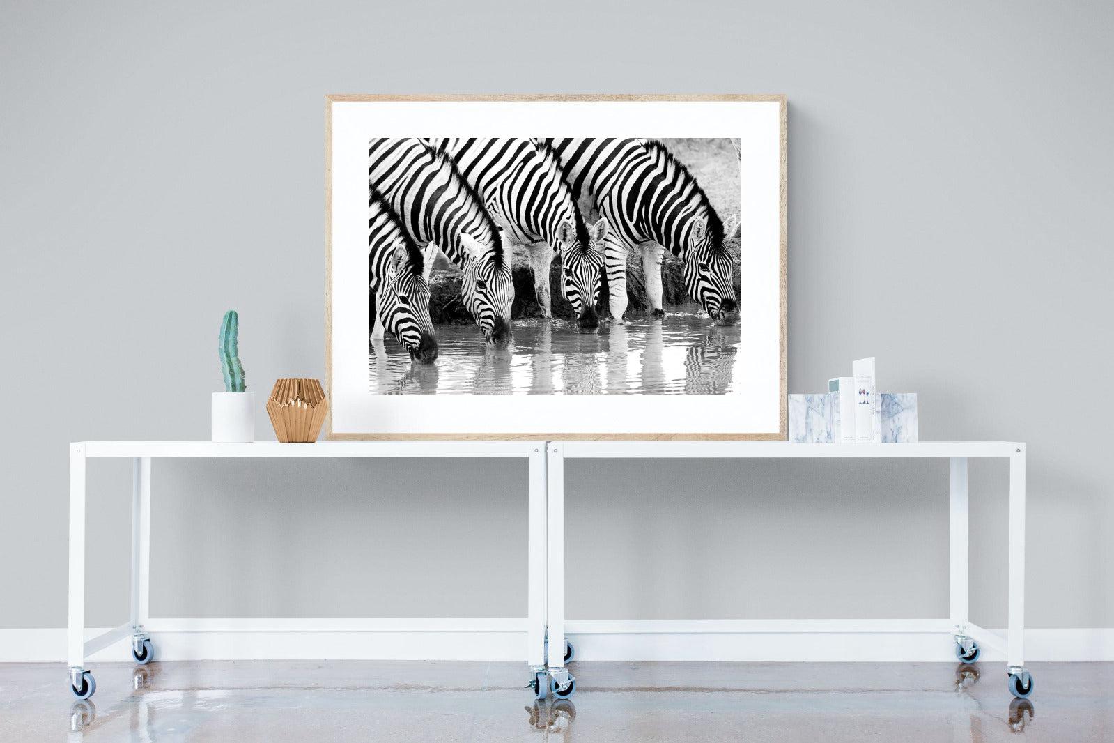 Zebra Quench-Wall_Art-120 x 90cm-Framed Print-Wood-Pixalot