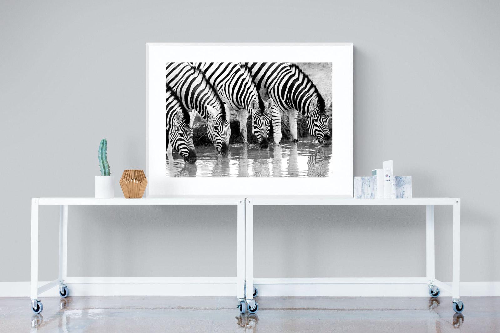 Zebra Quench-Wall_Art-120 x 90cm-Framed Print-White-Pixalot