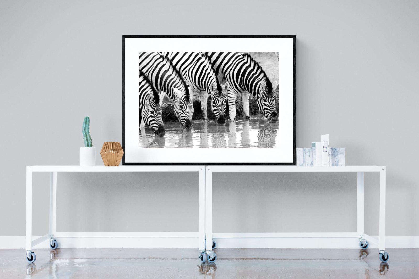 Zebra Quench-Wall_Art-120 x 90cm-Framed Print-Black-Pixalot