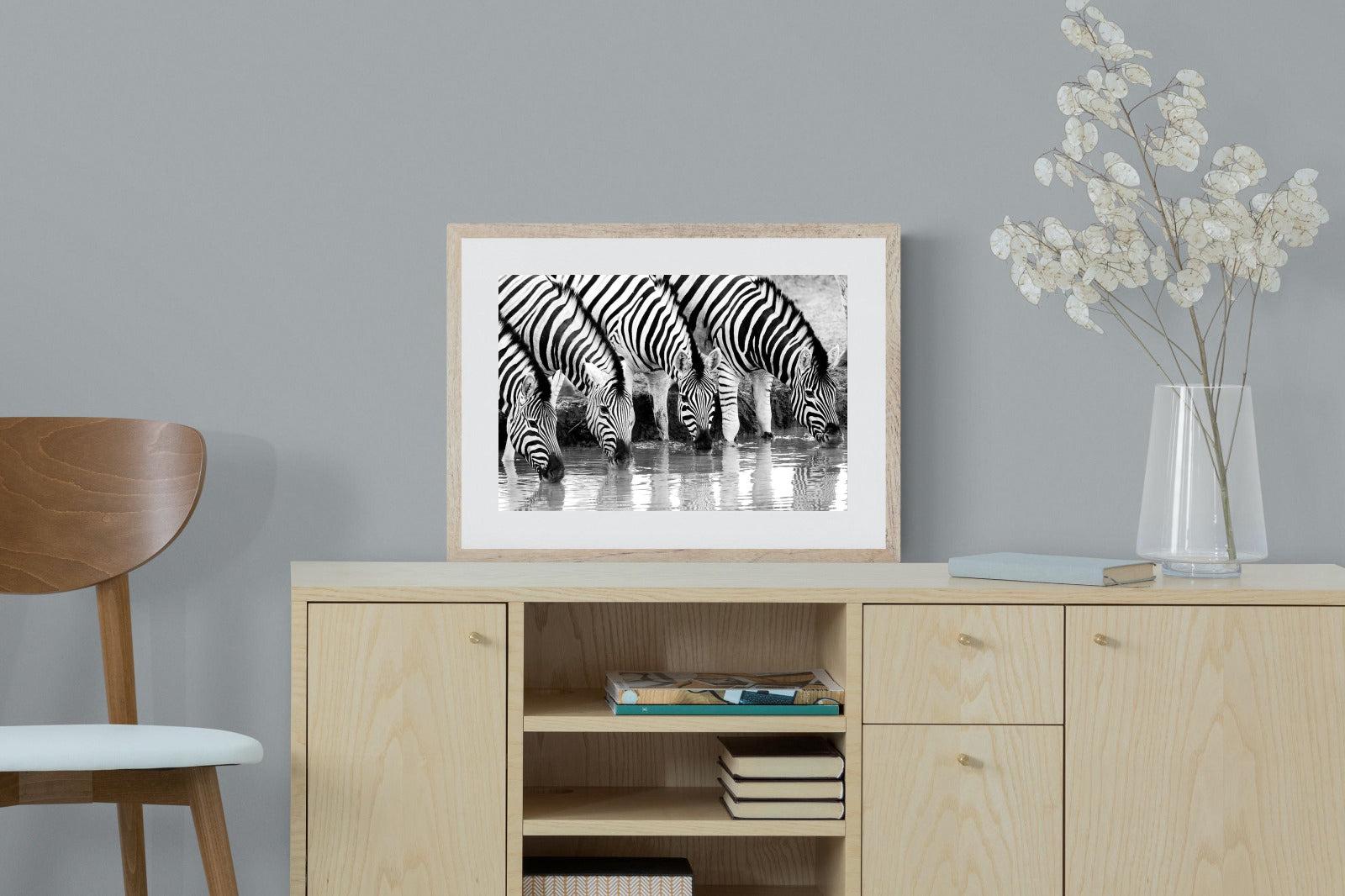 Zebra Quench-Wall_Art-60 x 45cm-Framed Print-Wood-Pixalot