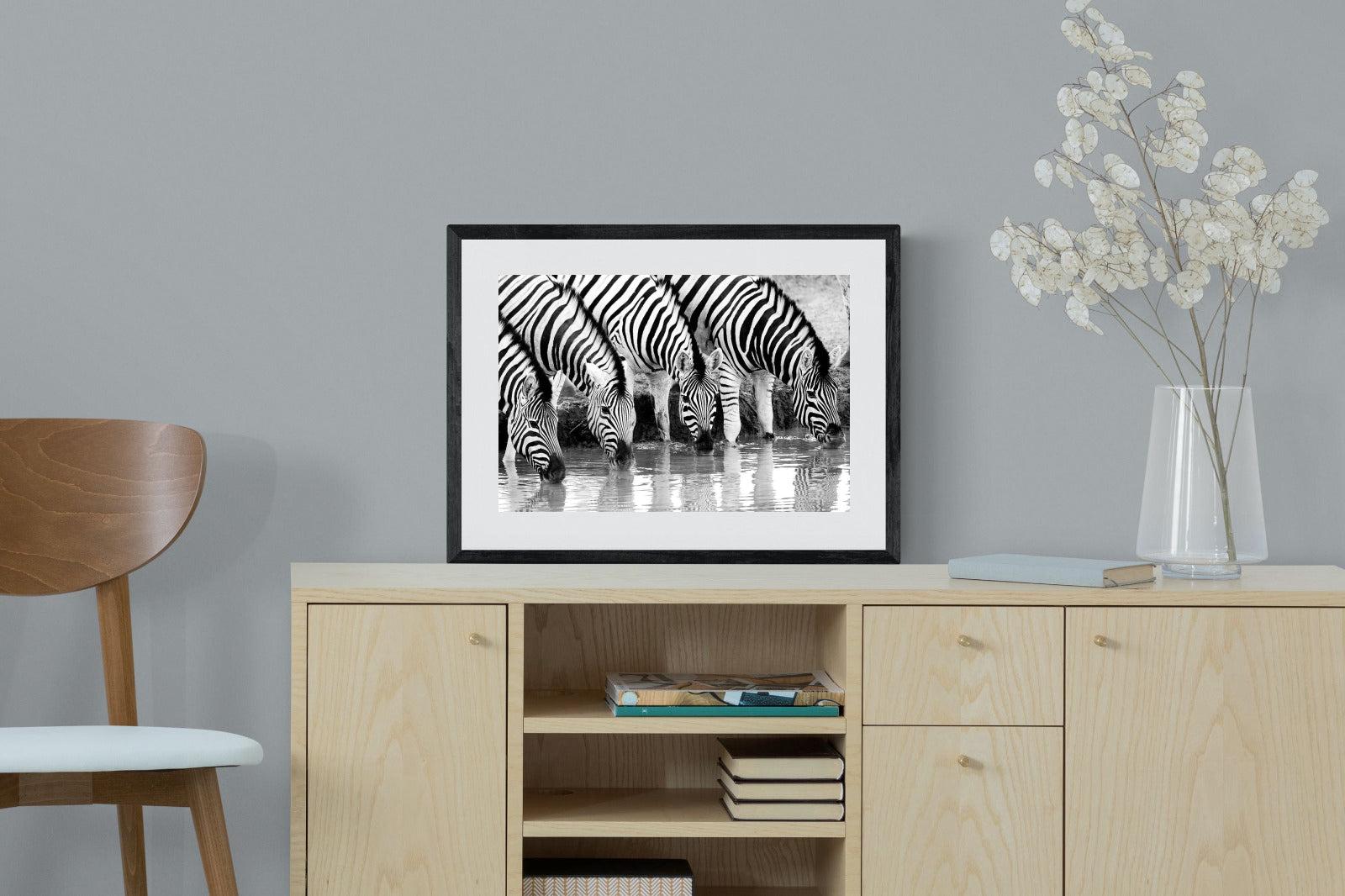 Zebra Quench-Wall_Art-60 x 45cm-Framed Print-Black-Pixalot