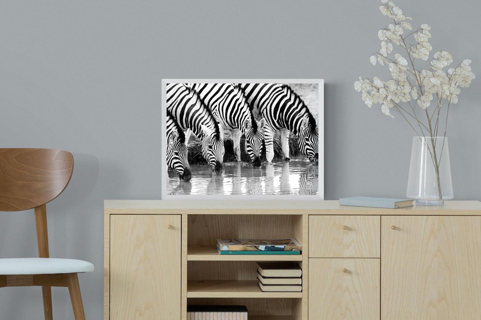 Zebra Quench-Wall_Art-60 x 45cm-Mounted Canvas-White-Pixalot