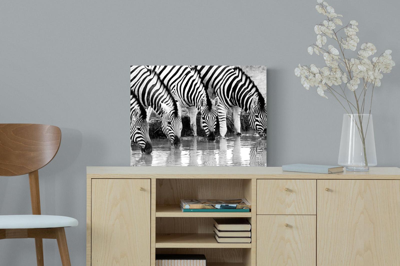 Zebra Quench-Wall_Art-60 x 45cm-Mounted Canvas-No Frame-Pixalot