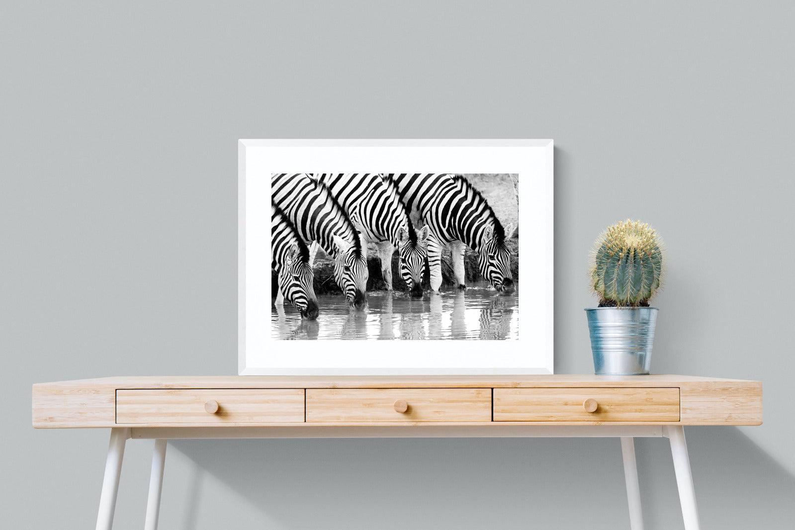 Zebra Quench-Wall_Art-80 x 60cm-Framed Print-White-Pixalot