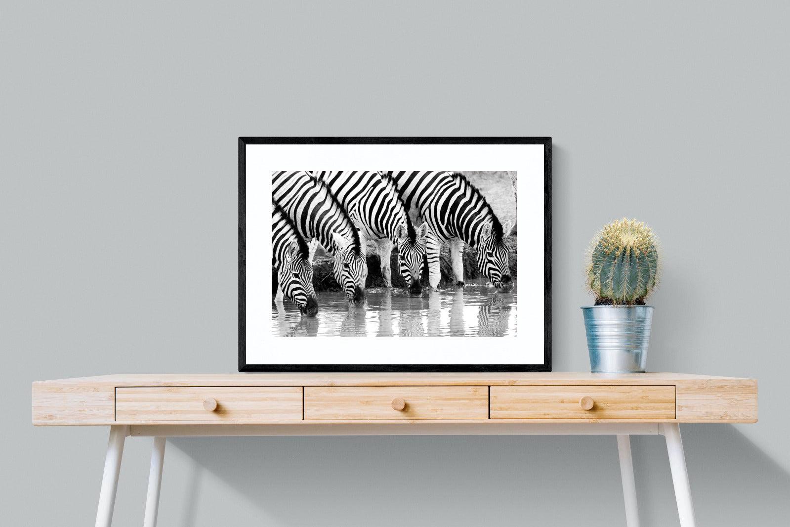 Zebra Quench-Wall_Art-80 x 60cm-Framed Print-Black-Pixalot