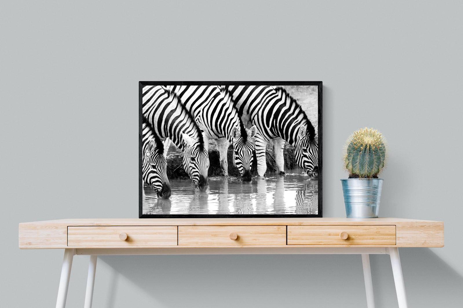 Zebra Quench-Wall_Art-80 x 60cm-Mounted Canvas-Black-Pixalot